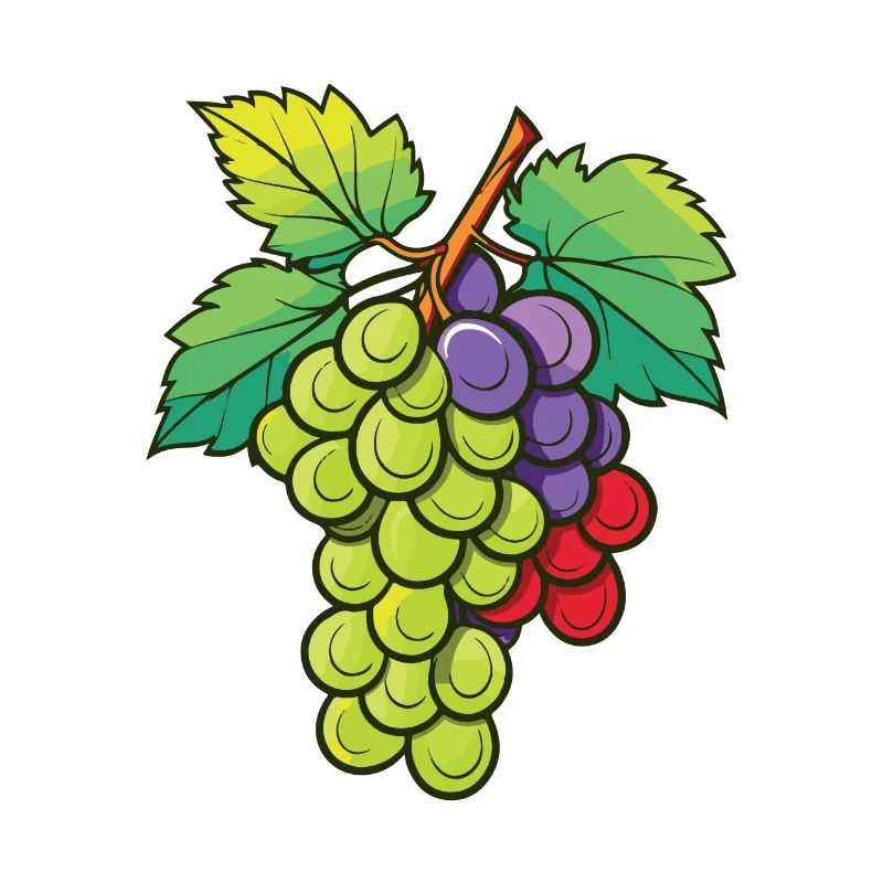 Weintrauben Frucht Symbol