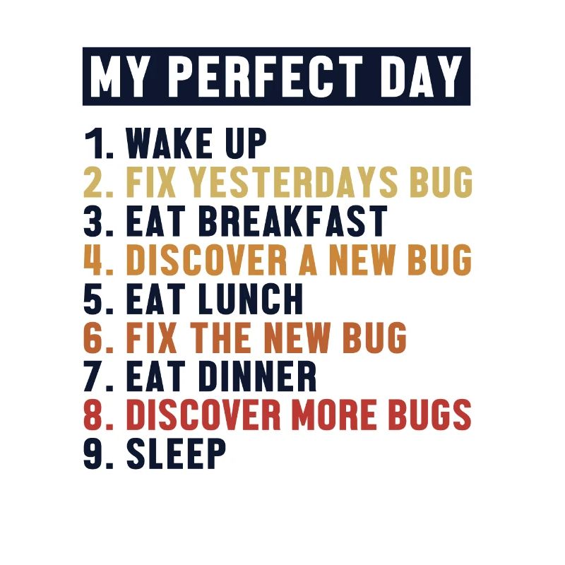 Fix Bugs Perfect Day Developer Coder Programmierer