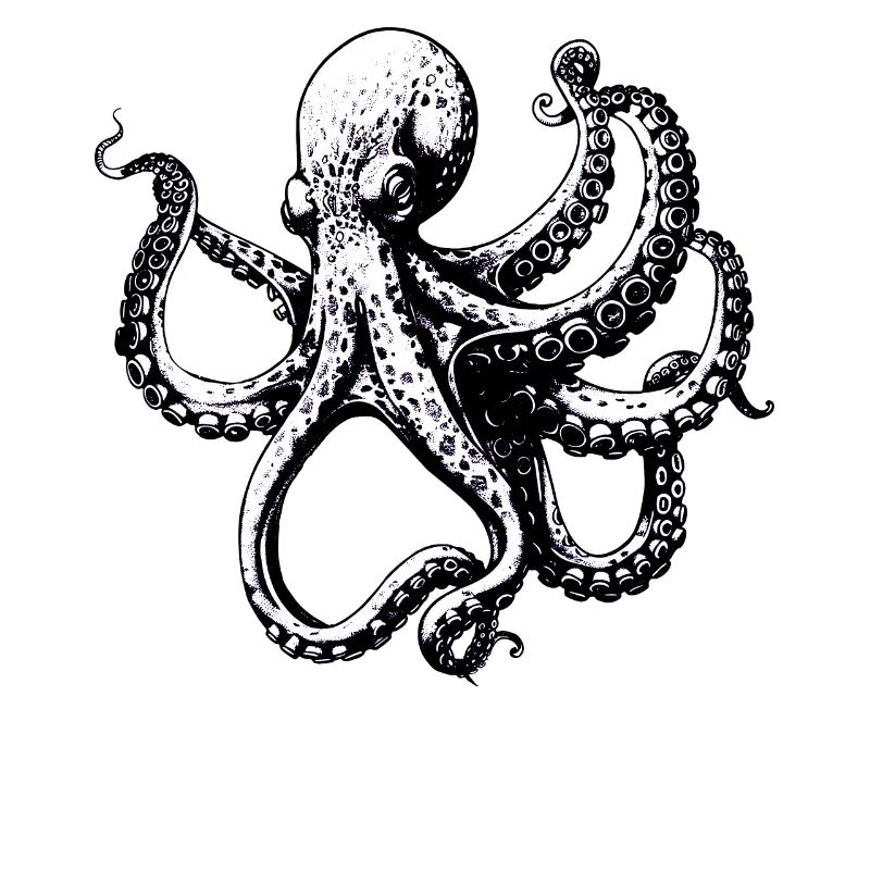 Komplizierte Schwarz-Weiß-Oktopus-Illustration