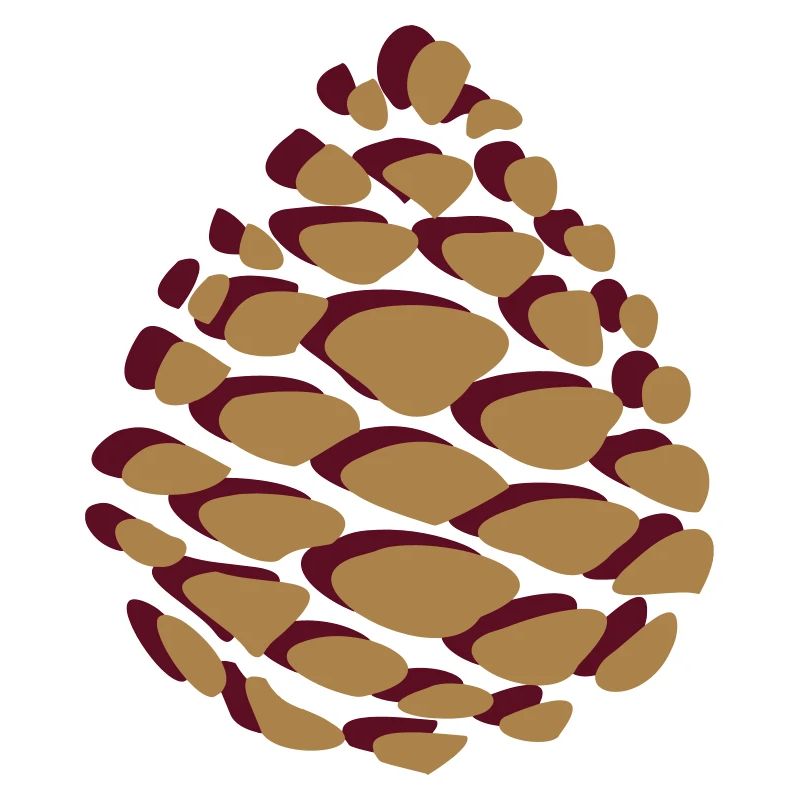 Pine cones pinecone pomme de pin Wald forest