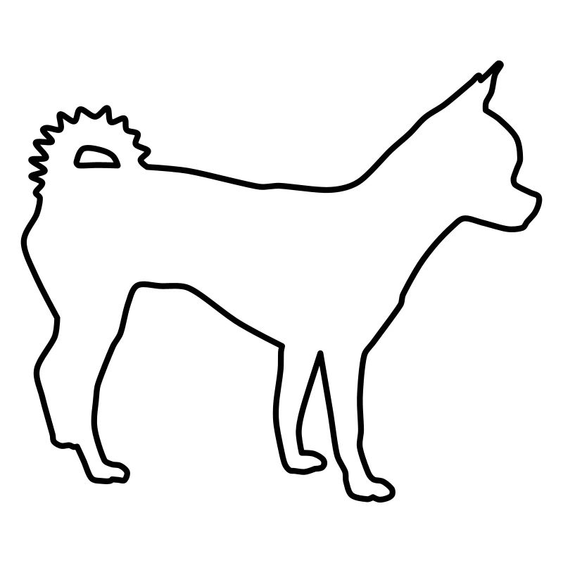 chihuahua konturen 1