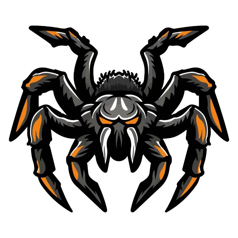 spinne