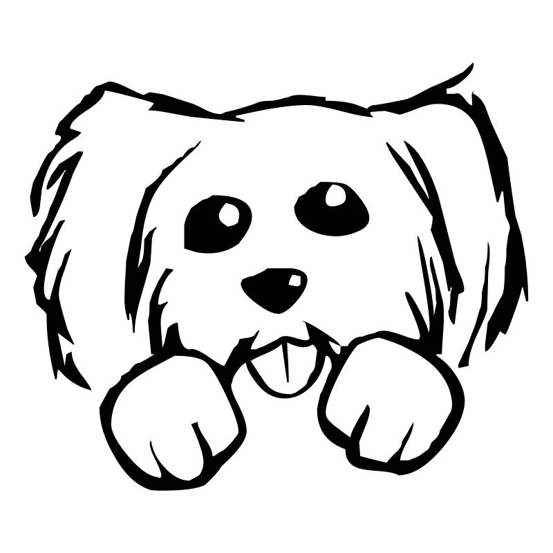 Hund