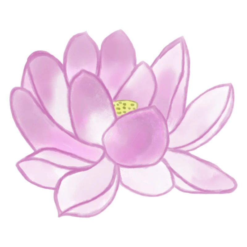 Lotusblüte
