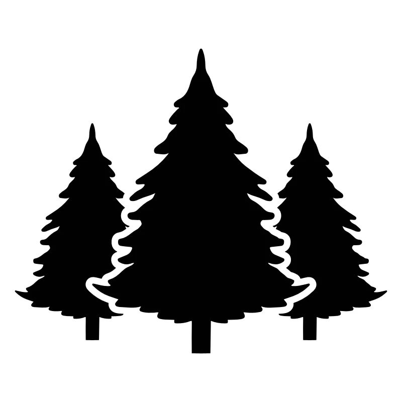 Baum Wald Tanne