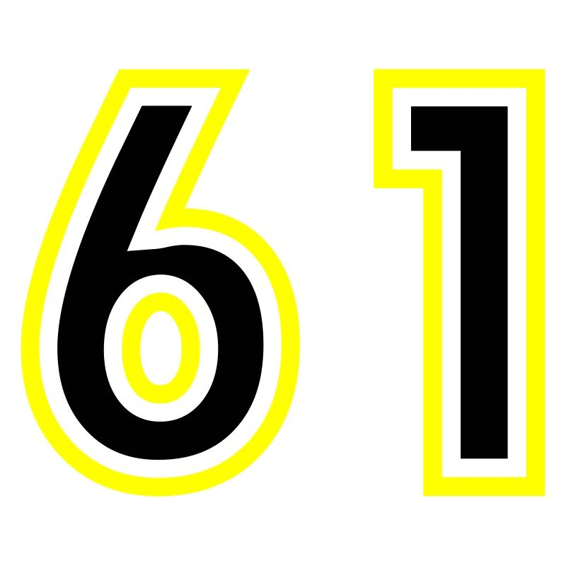 61 Zahl College