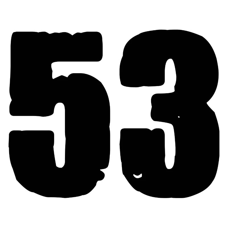 53 Zahl Trikot