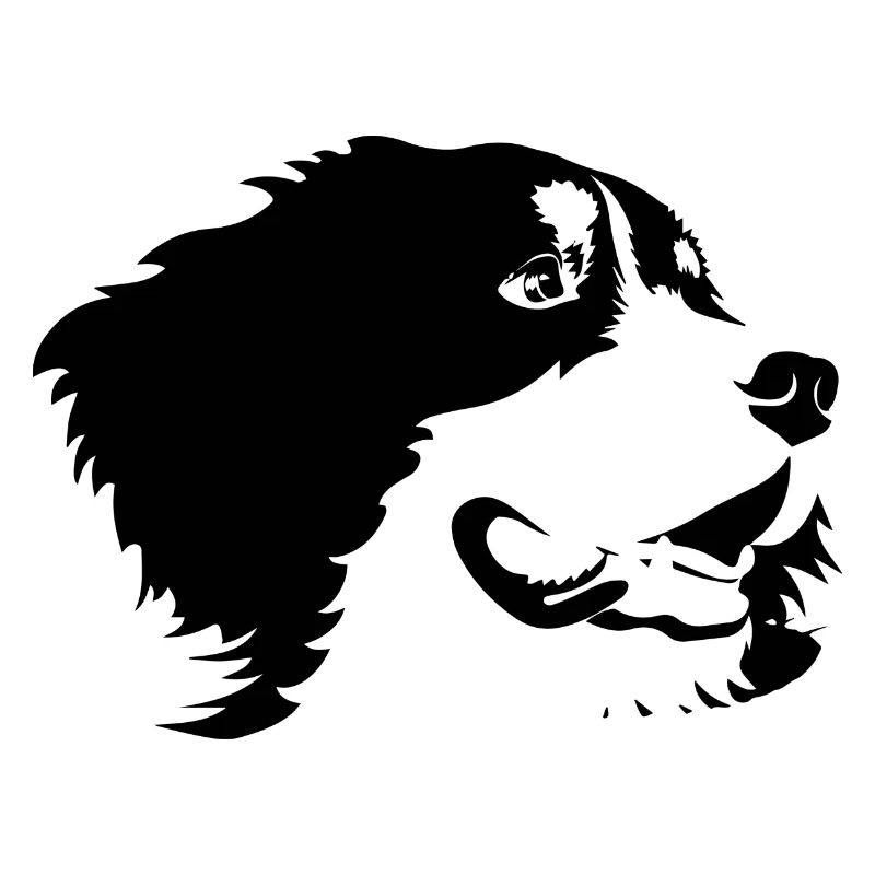Dog Hund