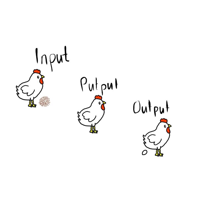 Input Putput Output