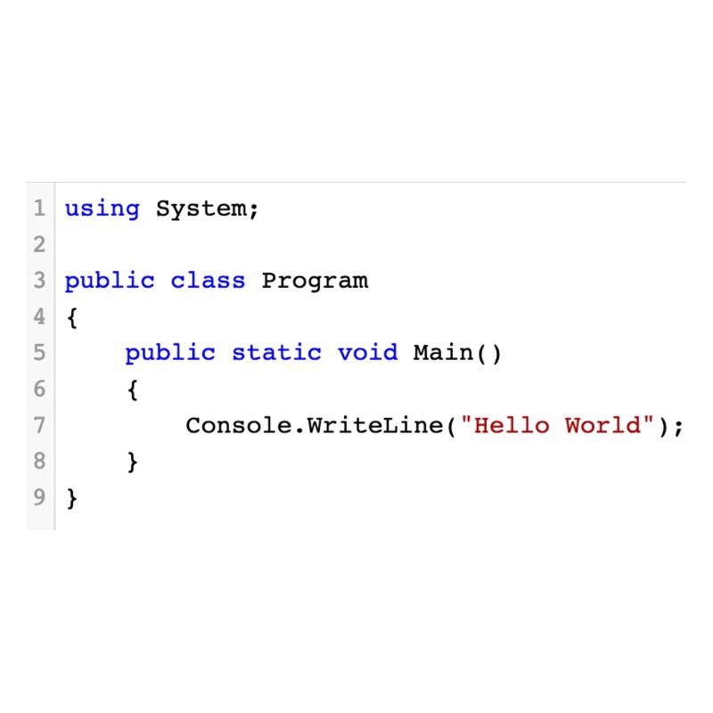 C # .NET Code Hello World Programmer Gift