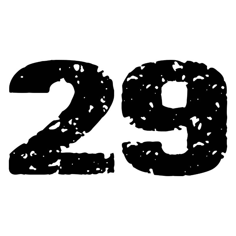 29 Zahl Trikot