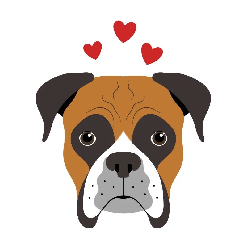 Boxer Liebe