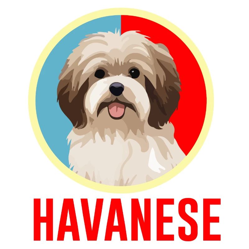 Havaneser Retro