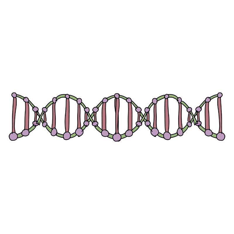 DNA Biologie