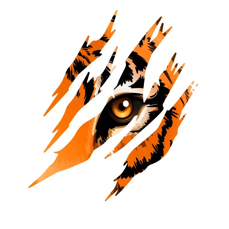Tiger Eye