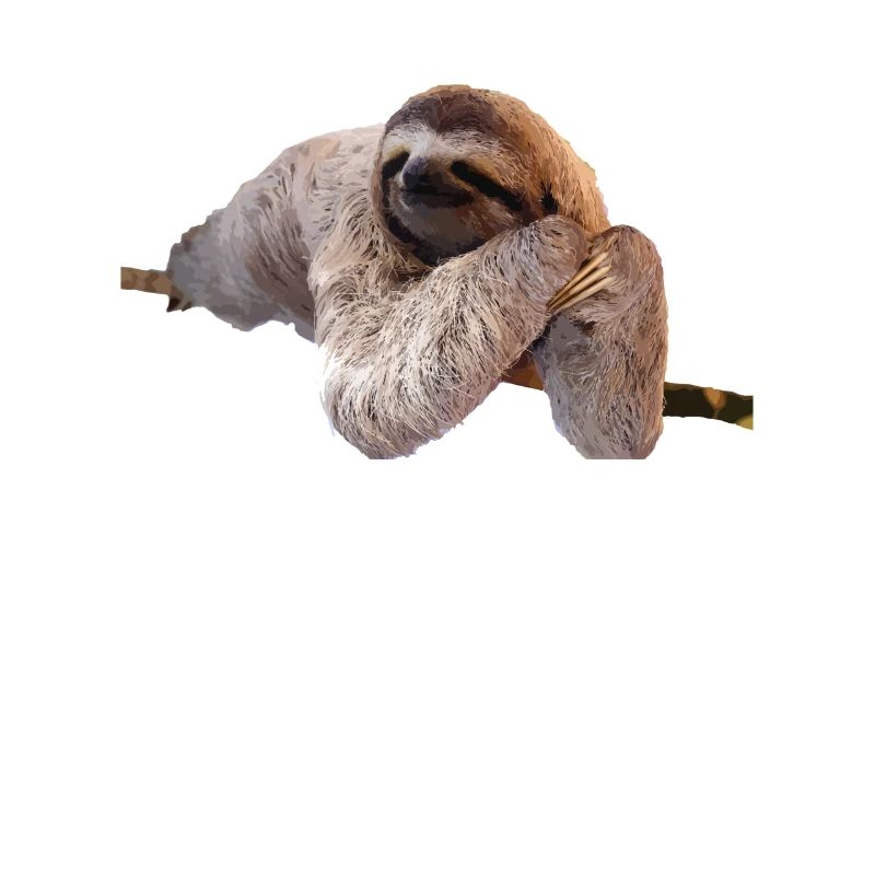 Faultier Sloth Geschenk Idee