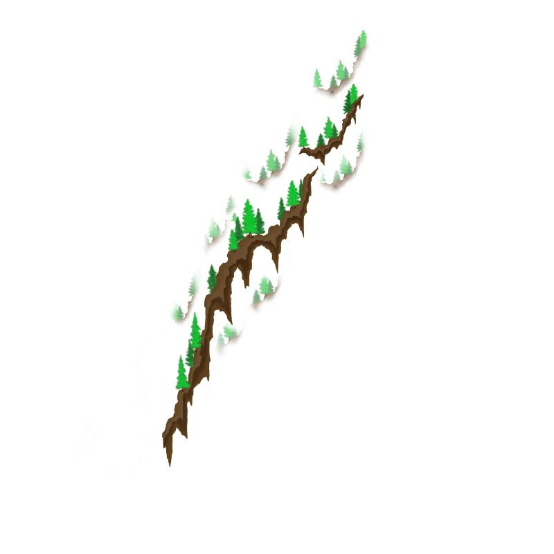 Forest uphill