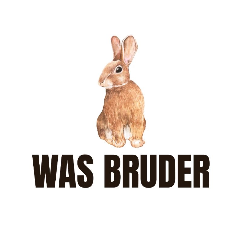 lustiges Meme