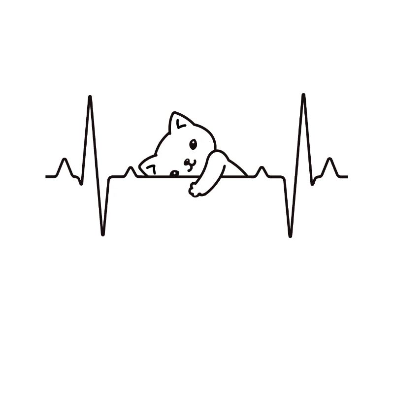 Katze Herzschlag