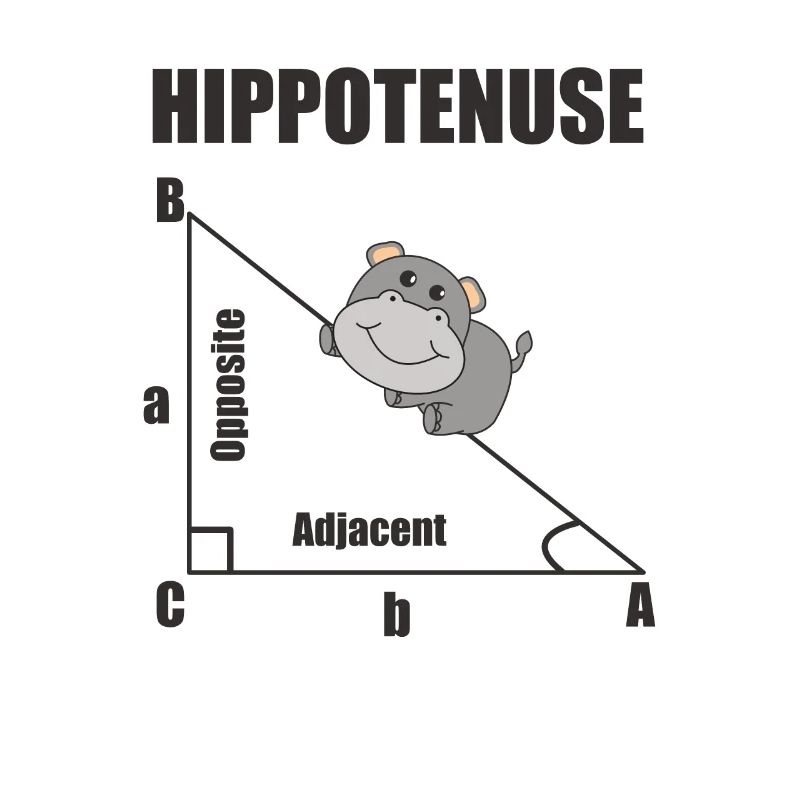 Nerd Geometry Hippotenuse Hypotenuse Math