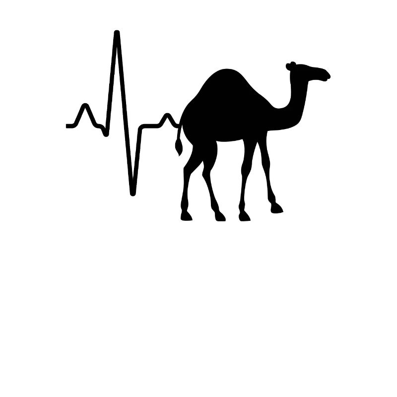 Dromedar Kamel Herzschlag
