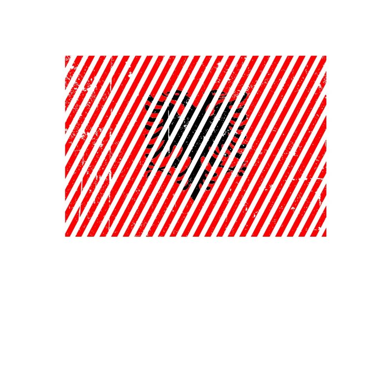 Albanien Flagge