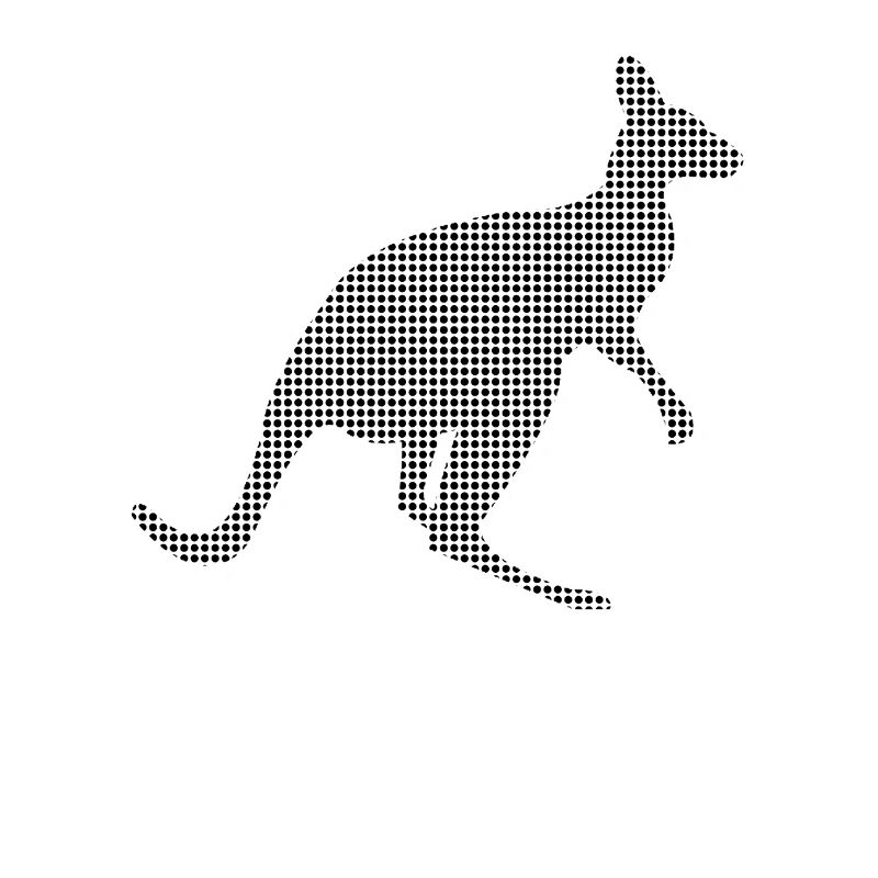 Känguru