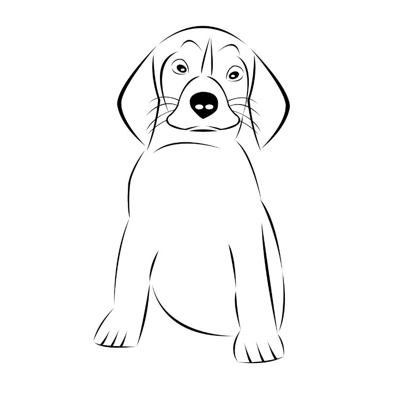 süßer Hund Haustier