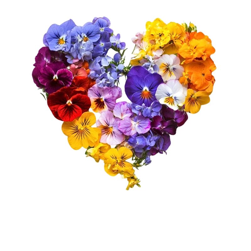 Cœur de pensées - Discours de fleur colorée