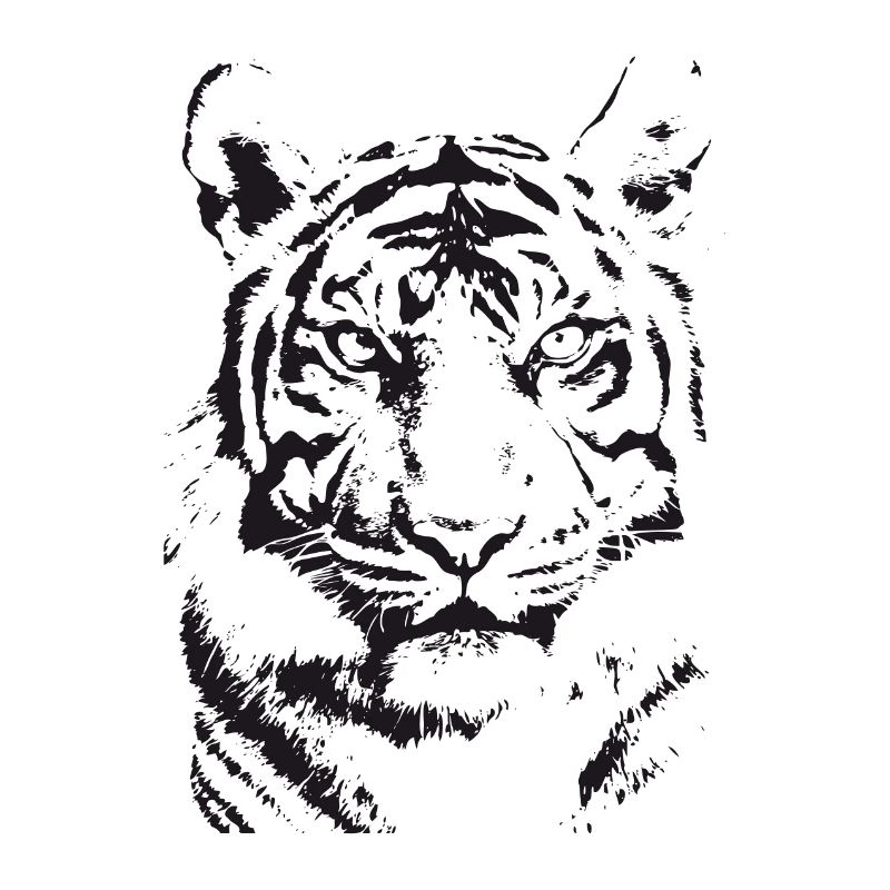 Schwarzer Tiger - Illustration