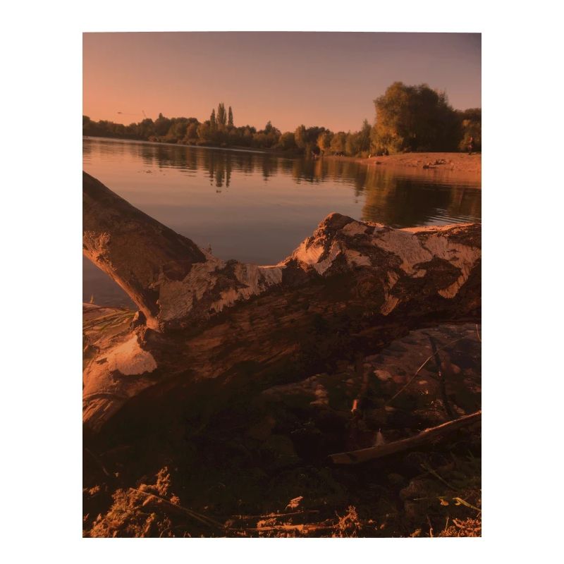 natur,bäume,see,abens