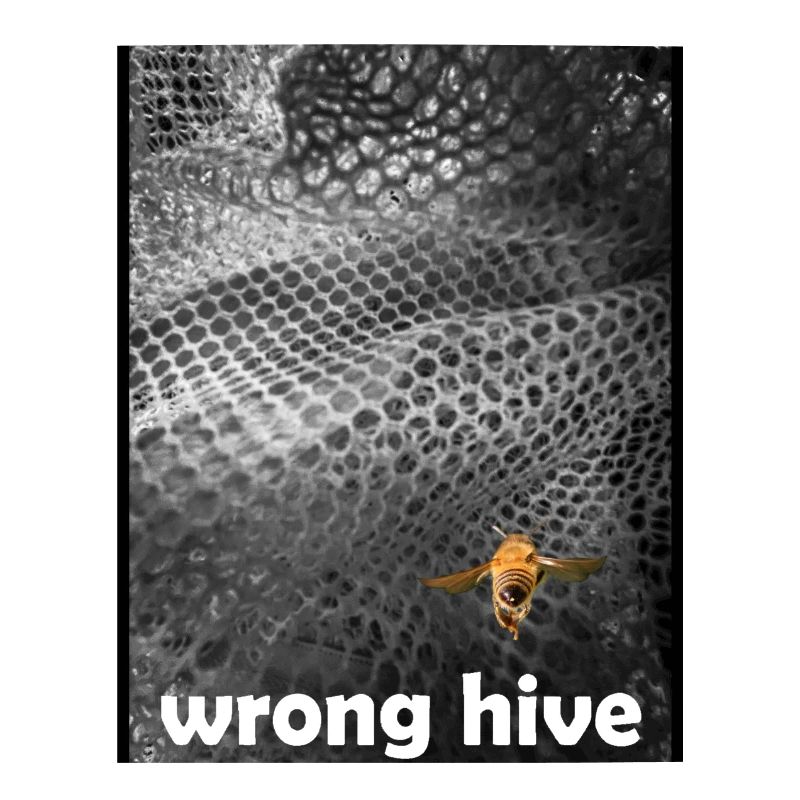 Wrong Hive