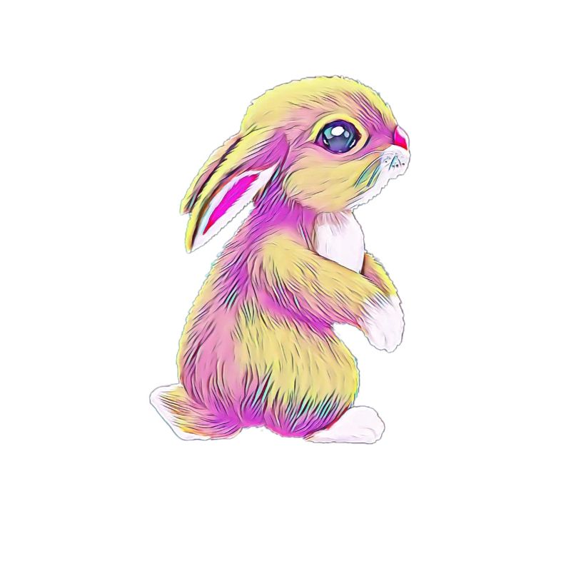 Rabbits