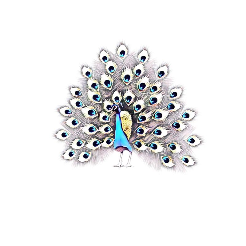 Pfau