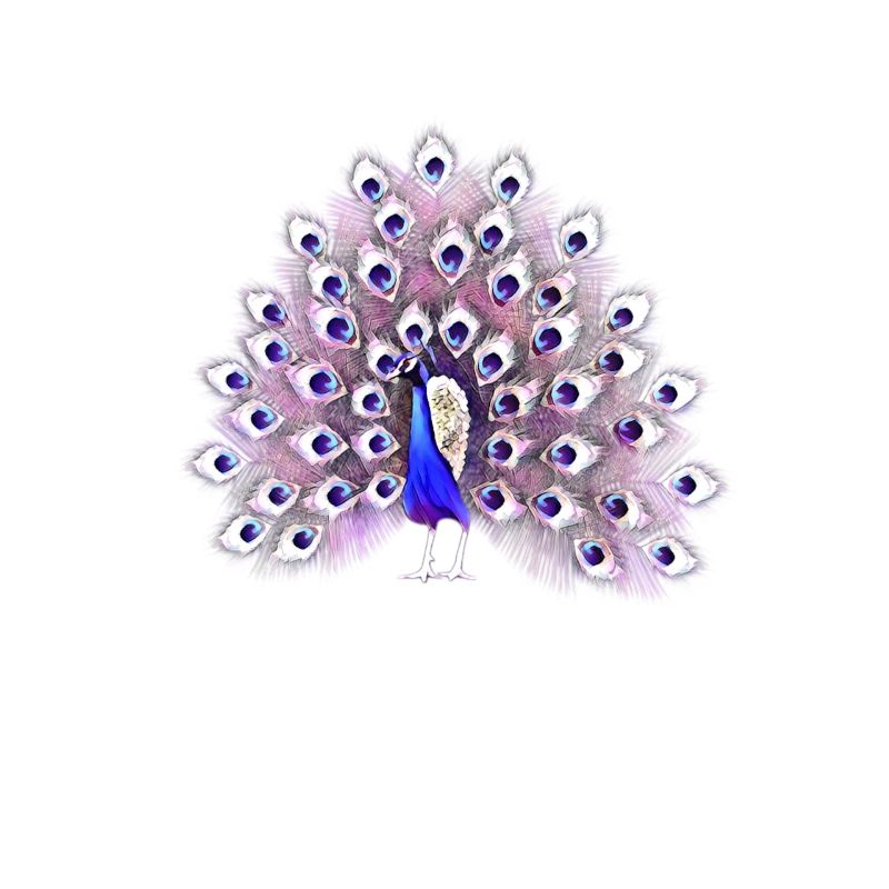 Pfau