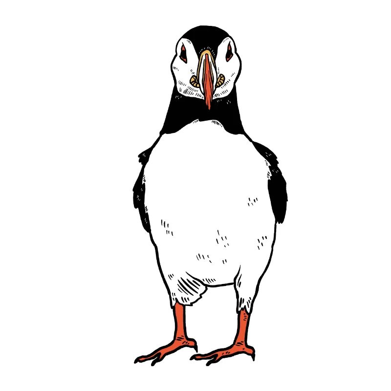 Papageitaucher