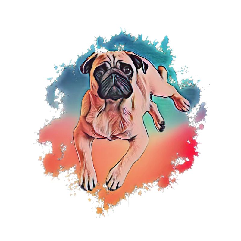 Mops