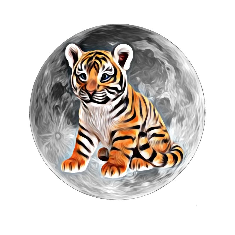 tiger
