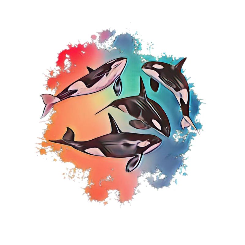 Orca