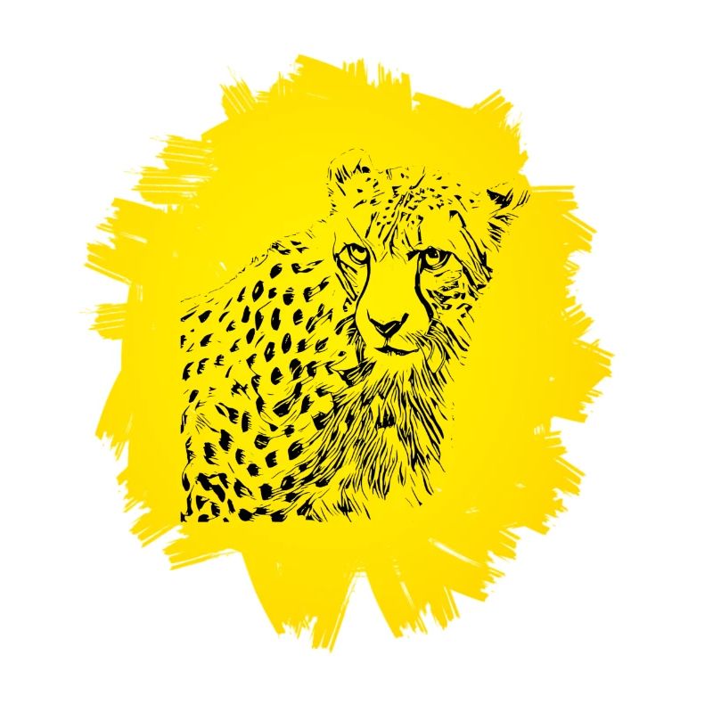 Gepard