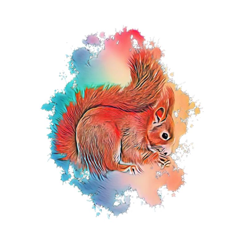 squirrel