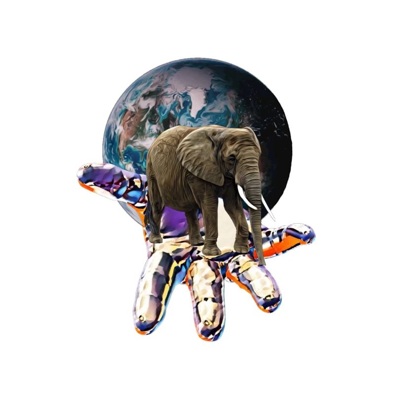 Éléphant