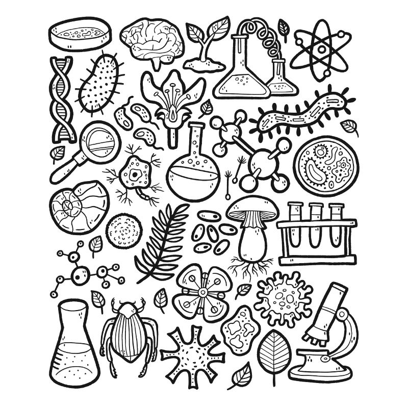 Biologie Doodle