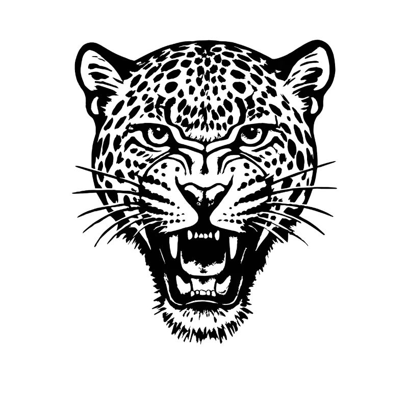 Leopard - Raubkatze, Afrika