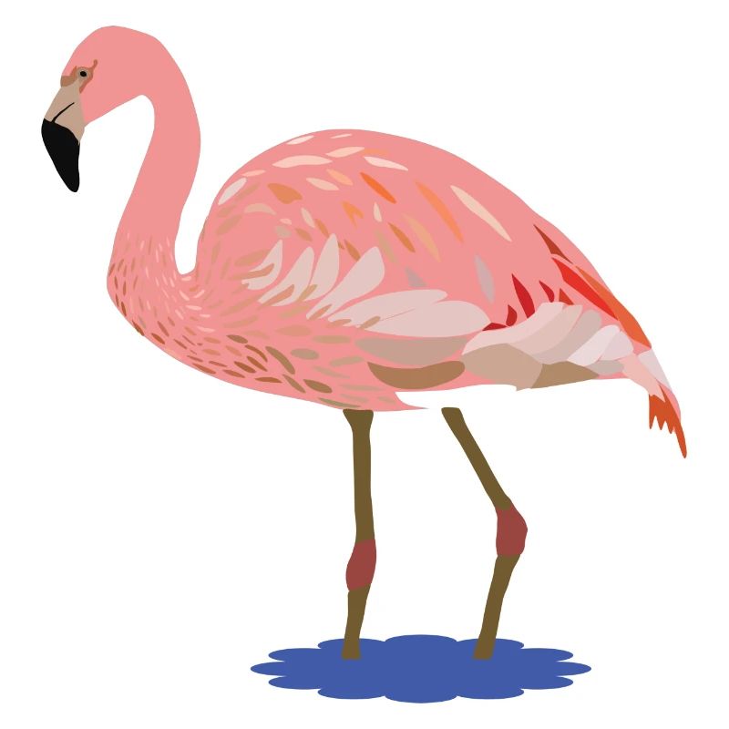 Flora Flamingo