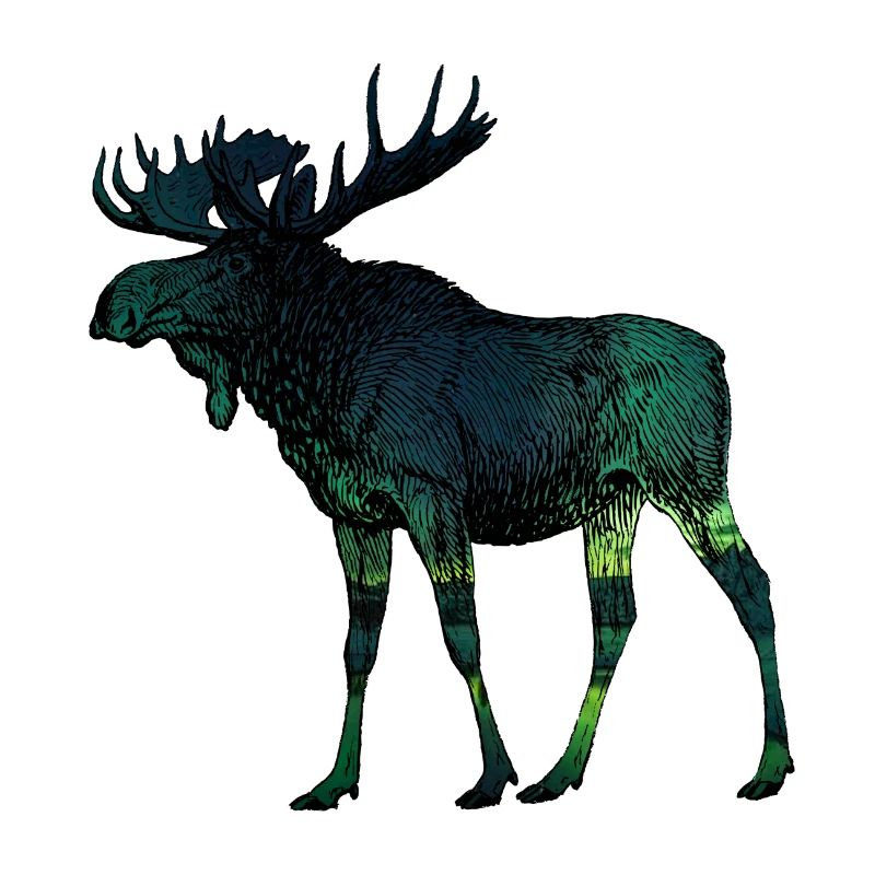 Moose 3