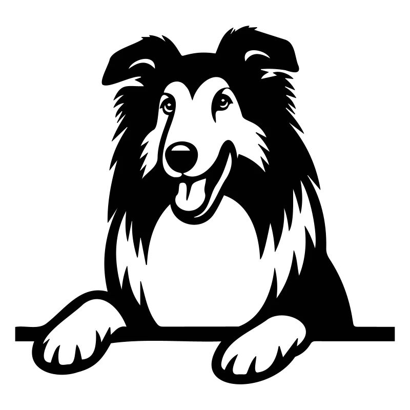 Collie