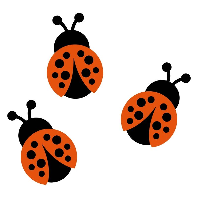 Marienkäfer