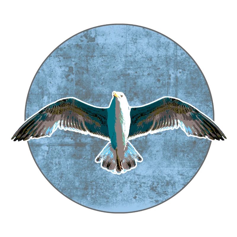 Möwe