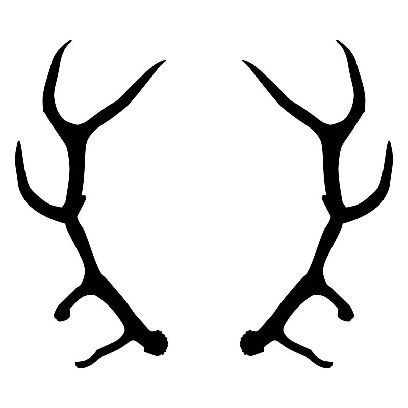 Geweih
